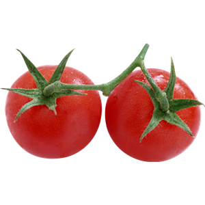 Tomato PNG-12529